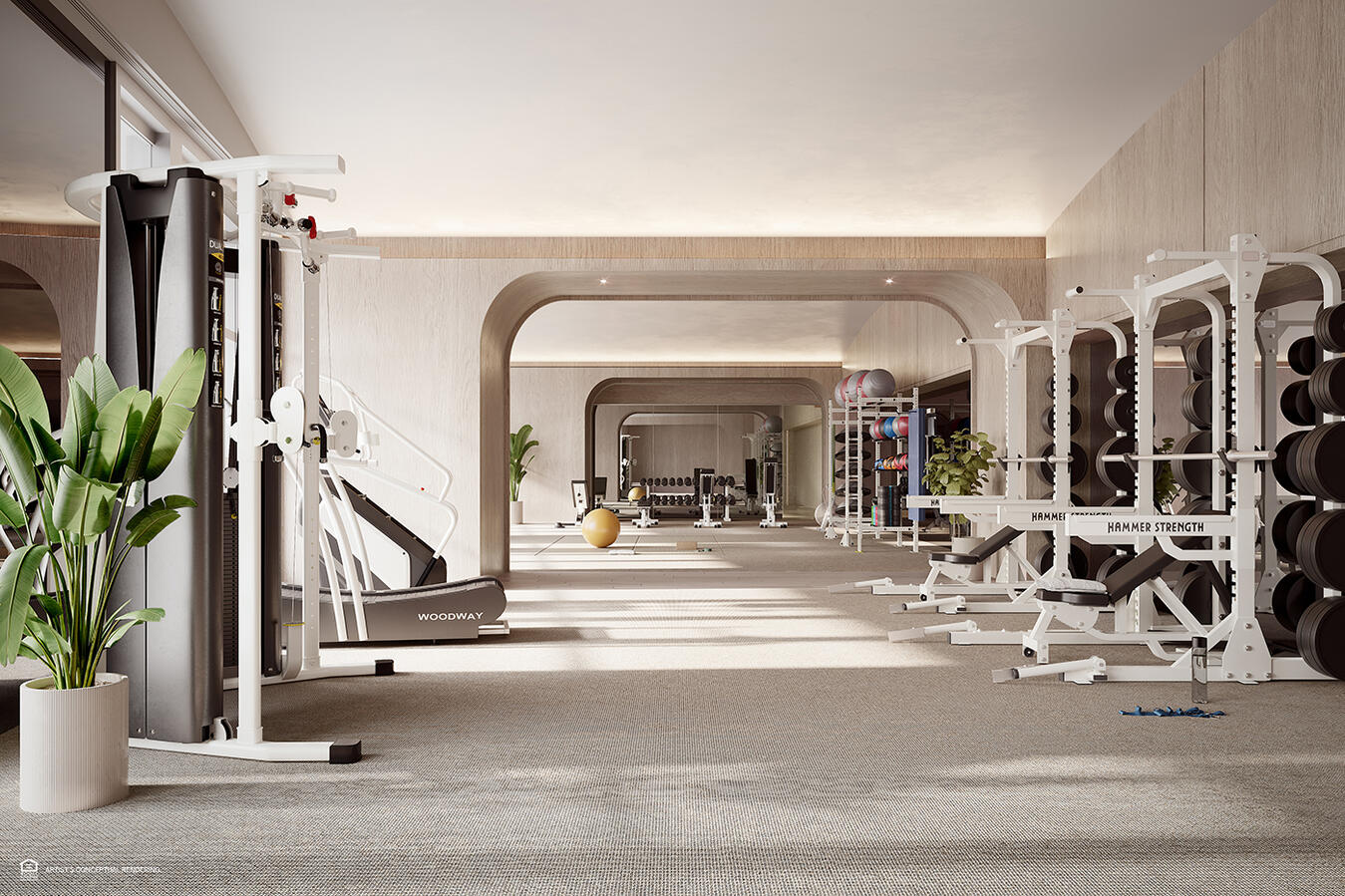 Gimnasio